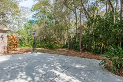 110 Woodglen Court, Oldsmar, FL 34677 - Photo 80