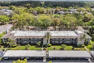 124 Nina Way, Oldsmar, FL 34677 - Photo 30