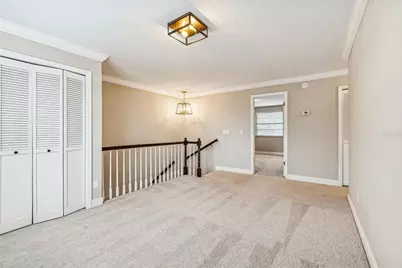 4323 Honey Vista Circle, Tampa, FL 33624 - Photo 28