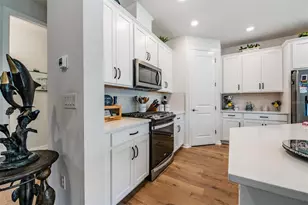 17288 Balance Cv, Land O Lakes, FL 34638 - Photo 14