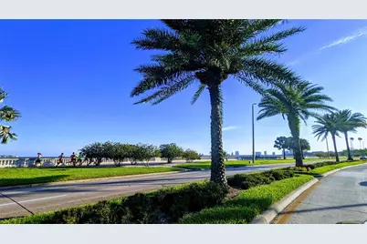 501 S Magnolia Avenue #1, Tampa, FL 33606 - Photo 22