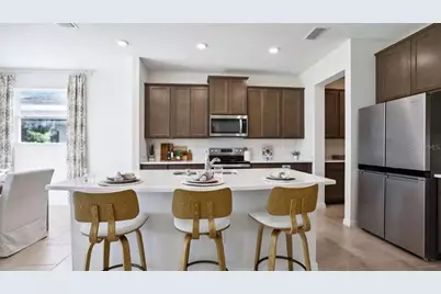 2396 Sienna Spruce Street, Wesley Chapel, FL 33543 - Photo 4