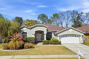 3725 Grand Forks Dr, Land O Lakes, FL 34639 - Photo 78