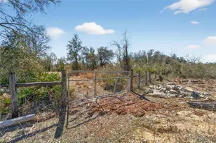 35238 Manuel St, Ridge Manor Estates, FL 33597 - Photo 60