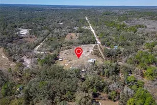 35238 Manuel St, Ridge Manor Estates, FL 33597 - Photo 74