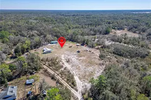 35238 Manuel St, Ridge Manor Estates, FL 33597 - Photo 70