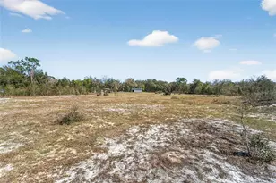 35238 Manuel St, Ridge Manor Estates, FL 33597 - Photo 64