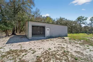 35238 Manuel St, Ridge Manor Estates, FL 33597 - Photo 44