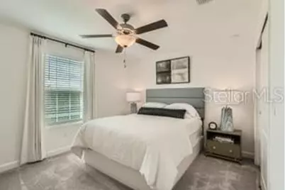 16808 Forge Surf Street, Land O Lakes, FL 34638 - Photo 4