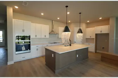 31351 Westbury Estates Avenue, Wesley Chapel, FL 33545 - Photo 4