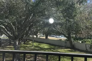 15206 W Pond Woods Dr, Tampa, FL 33618 - Photo 10