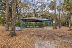 6419 W Richard Dr, Weeki Wachee, FL 34607 - Photo 56