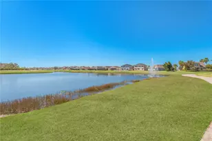 11908 Greenchop Pl, Riverview, FL 33579 - Photo 36