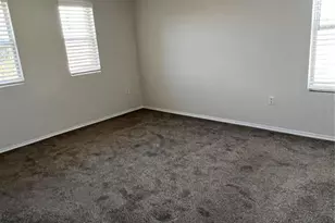 18916 Randall Pl, Land O Lakes, FL 34638 - Photo 22