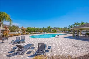 20408 Needletree Dr, Tampa, FL 33647 - Photo 26