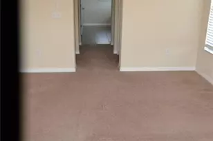 20509 Carolina Cherry Ct, Tampa, FL 33647 - Photo 10