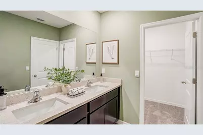 31136 Paper Birch Street, Wesley Chapel, FL 33545 - Photo 12