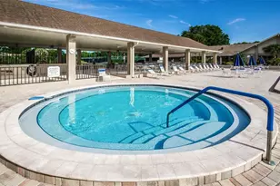 2240 Spruce Ln, Palm Harbor, FL 34684 - Photo 44