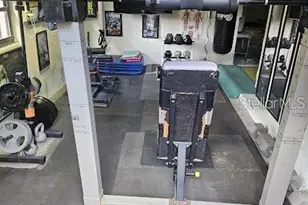 413 Manor Blvd, Palm Harbor, FL 34683 - Photo 50