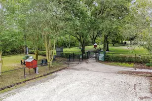 7424 Melogold Cir, Land O Lakes, FL 34637 - Photo 98