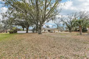 4504 Deer Park Pl, Brandon, FL 33511 - Photo 2