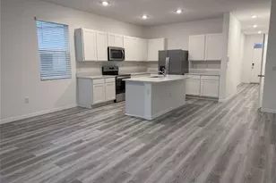 11346 Velvet Apricot Dr, Land O Lakes, FL 34638 - Photo 4