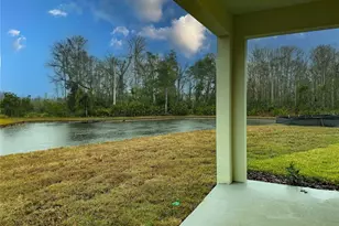 11346 Velvet Apricot Dr, Land O Lakes, FL 34638 - Photo 2