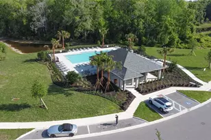 11346 Velvet Apricot Dr, Land O Lakes, FL 34638 - Photo 44