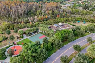 4834 Marble Springs Cir, Wimauma, FL 33598 - Photo 64