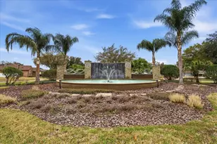 1007 Split Silk St, Valrico, FL 33594 - Photo 54