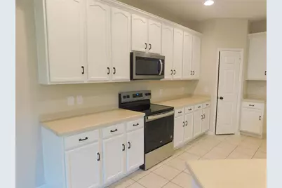 12902 Cattail Shore Lane, Riverview, FL 33579 - Photo 8