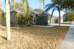 12902 Cattail Shore Ln, Riverview, FL 33579 - Photo 2