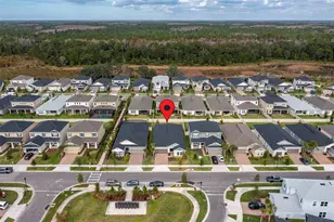 13699 Cannon Dr, Odessa, FL 33556 - Photo 46