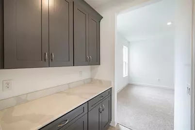 13699 Cannon Drive, Odessa, FL 33556 - Photo 14