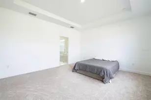 13699 Cannon Dr, Odessa, FL 33556 - Photo 26