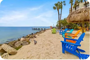 2506 N Rocky Point Dr, Tampa, FL 33607 - Photo 12