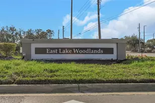 122 Caryl Way, Oldsmar, FL 34677 - Photo 32