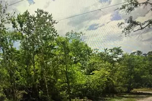 4021 Bruton Rd, Plant City, FL 33565 - Photo 1