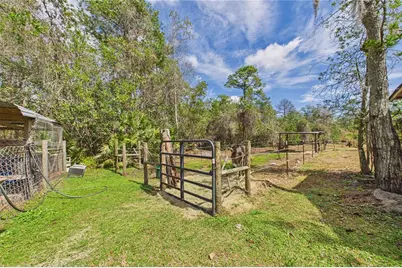 21038 Reindeer Road, Christmas, FL 32709 - Photo 80
