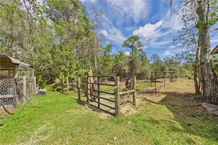 21038 Reindeer Rd, Christmas, FL 32709 - Photo 80