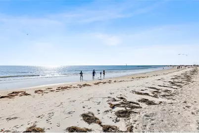 3625 Pelican Court, Palm Harbor, FL 34683 - Photo 44