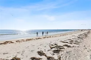 3625 Pelican Ct, Palm Harbor, FL 34683 - Photo 44