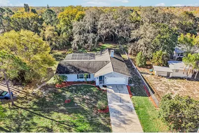804 Robin Avenue, Palm Harbor, FL 34683 - Photo 44
