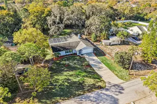 804 Robin Ave, Palm Harbor, FL 34683 - Photo 46