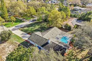 804 Robin Ave, Palm Harbor, FL 34683 - Photo 48