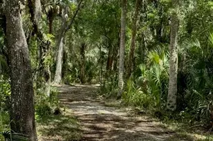 1040 Cracker Hammock, Sebring, FL 33875 - Photo 14