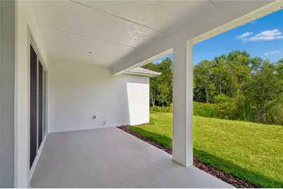 31467 Hayman Loop, Wesley Chapel, FL 33545 - Photo 12