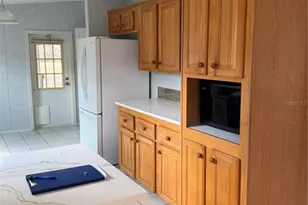 1735 Dorothy Blvd, Lutz, FL 33558 - Photo 8