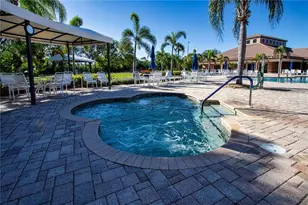 317 Seneca Falls Dr, Apollo Beach, FL 33572 - Photo 46