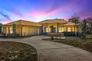 13101 Shadow Run Blvd, Riverview, FL 33569 - Photo 1